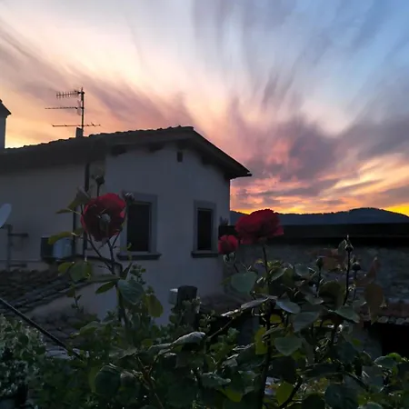 Le Palaie Vecchie